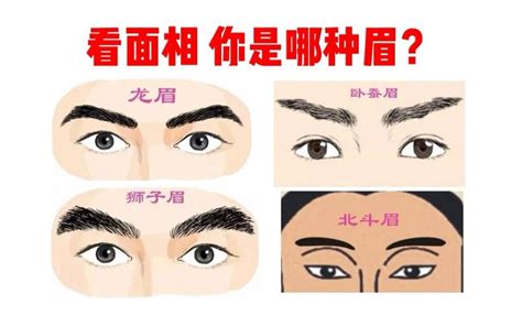 眉尾散男|眉毛面相图解大全：28种眉毛类型图文详细分析！